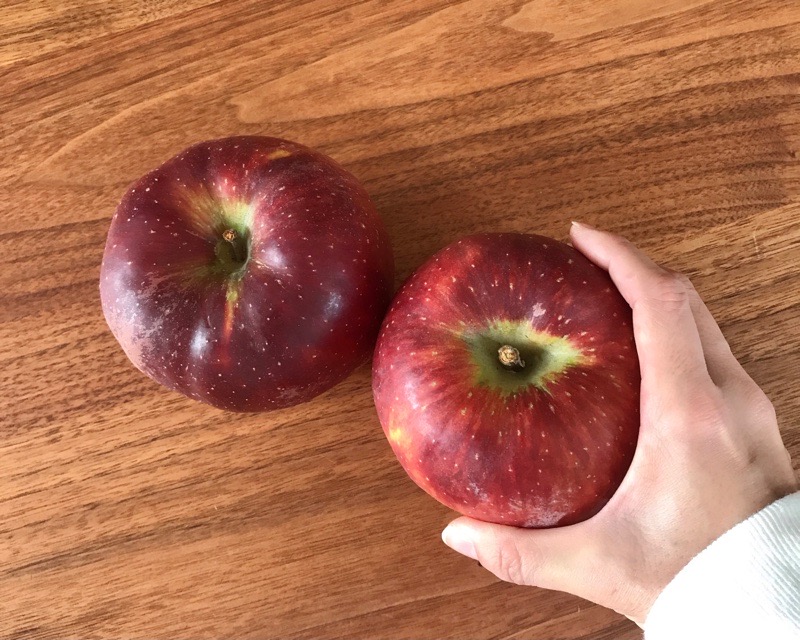 犬山　フルーツ　アミー　果物　りんご