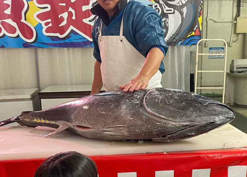 犬山五郎丸 中部魚錠の魚錠祭 マグロ解体ショー