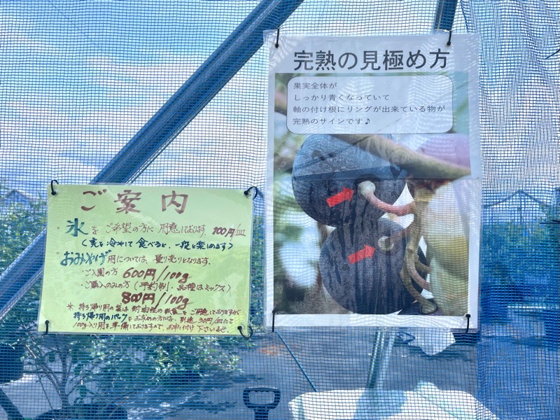 ブルーベリーパーク小牧のテラスカフェMitsubuchi