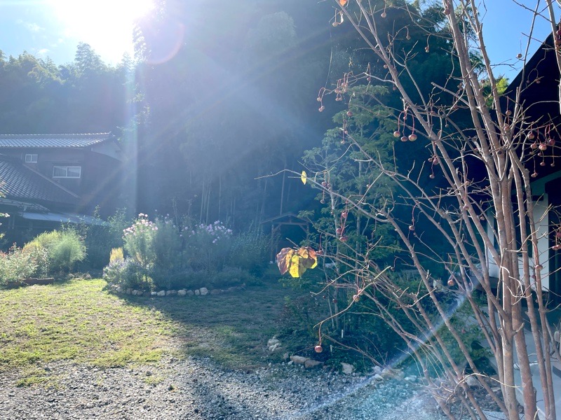 犬山 和カフェ入野　外観