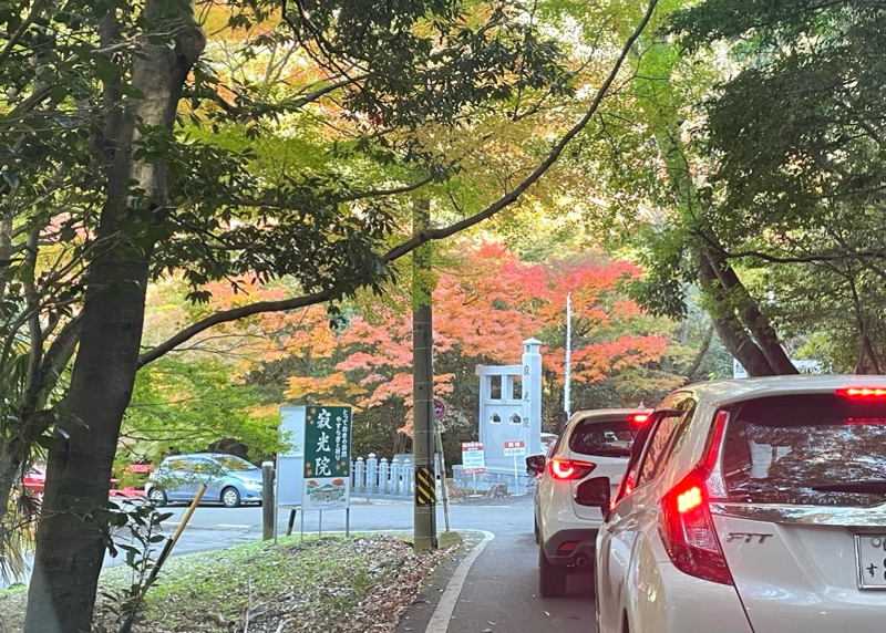 犬山寂光院 もみじ寺の駐車場 紅葉