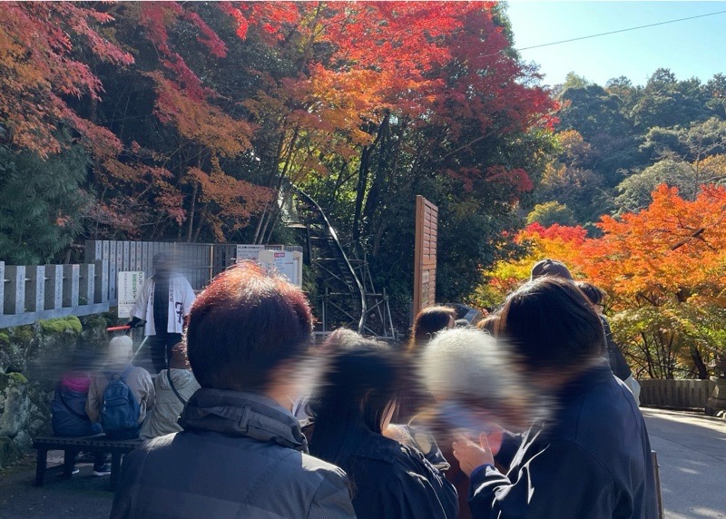 犬山寂光院 もみじ寺のスロープカー