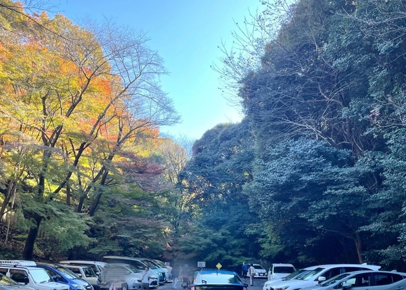 犬山寂光院 もみじ祭り 駐車場