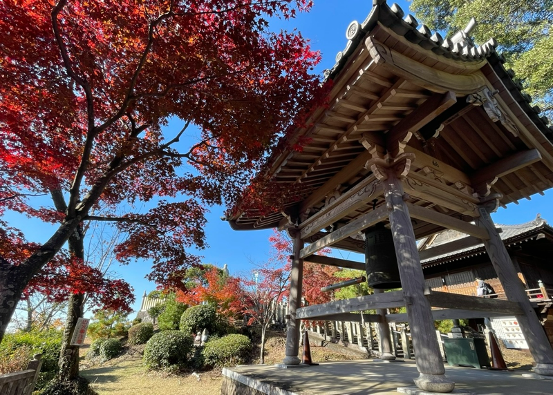 犬山 もみじ寺 紅葉のもみじまつり 寂光院の本堂