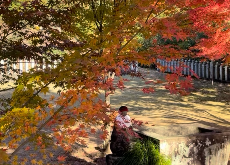 犬山 もみじ寺 紅葉のもみじまつり 寂光院の本堂
