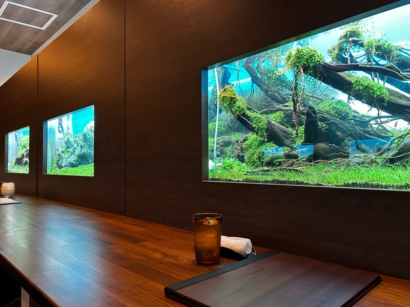 犬山駅ランチ　スパイスカレー＆アクアリウム水流　店内のアクアリウム