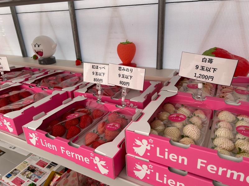 各務原市いちご狩り　LienFermeの施設　いちご農園のお土産用パックいちご