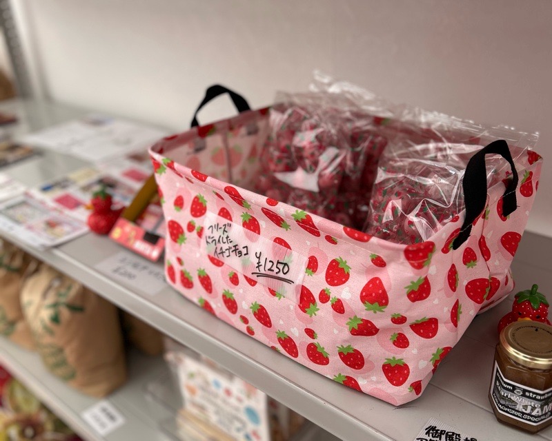 各務原市いちご狩り　LienFermeの施設　いちご農園のお土産用パックいちご