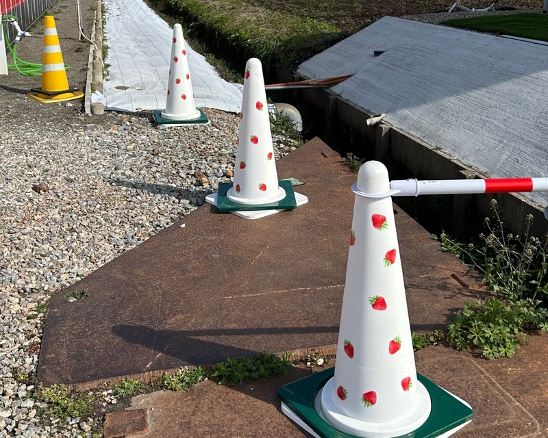 各務原市いちご狩り　LienFerme　いちご農園