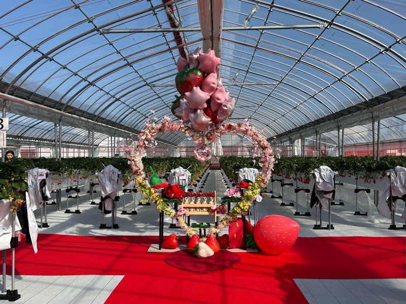 各務原市いちご狩り　LienFermeの施設　いちご農園