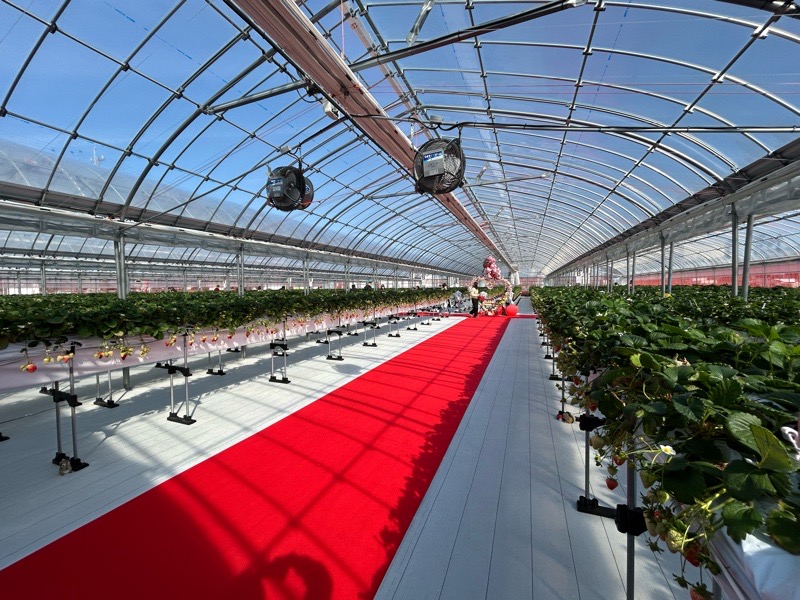 各務原市いちご狩り　LienFermeの施設　いちご農園