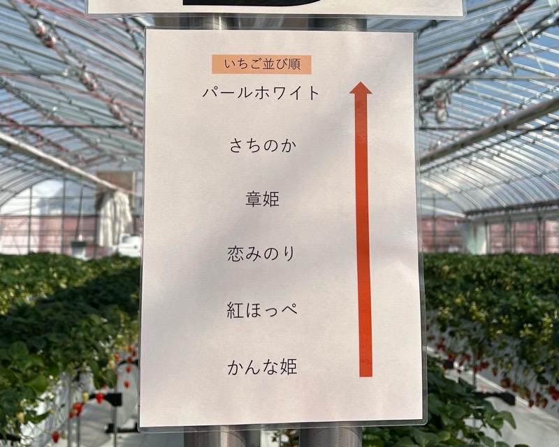 各務原市いちご狩り　LienFermeの施設　いちご農園