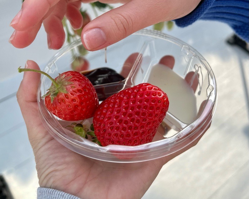 各務原市いちご狩り　LienFermeの施設　いちご農園