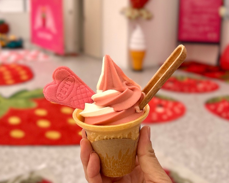 各務原市いちご狩り　LienFermeの施設　いちご農園