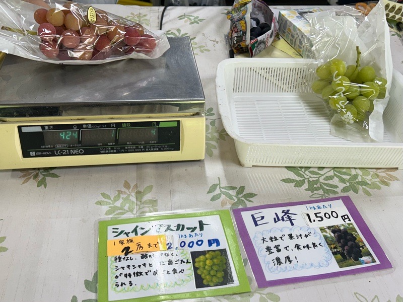 小牧ぶどう農園 鬼頭ぶどう園 直売所