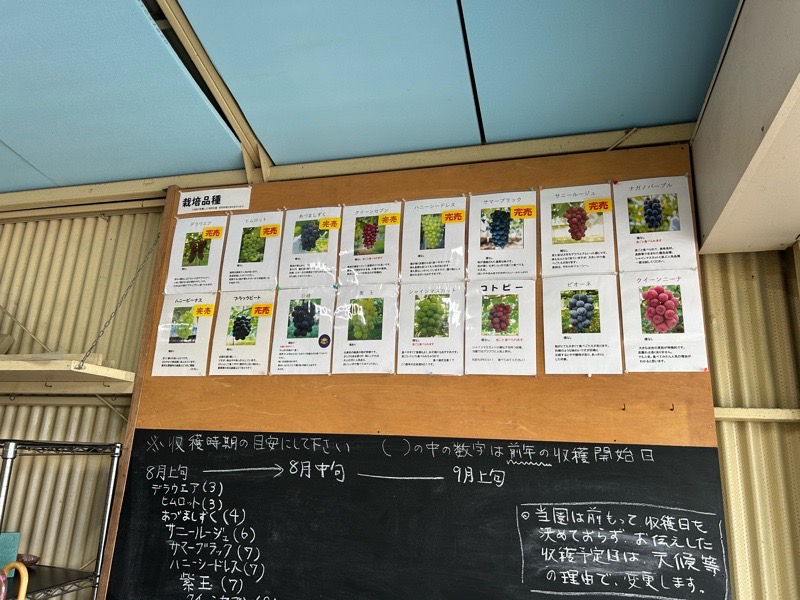 小牧ぶどう農園 横山ぶどう園 直売所