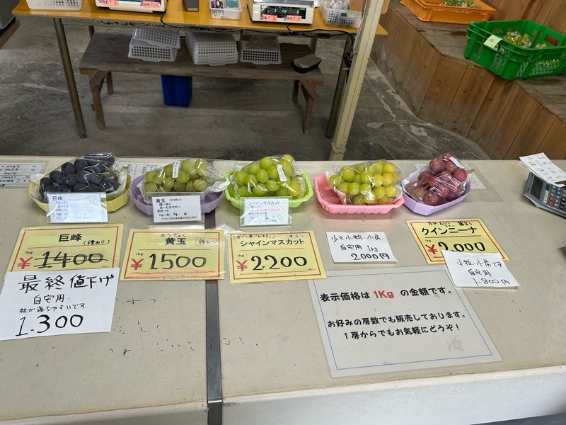 小牧ぶどう農園 横山ぶどう園 直売所