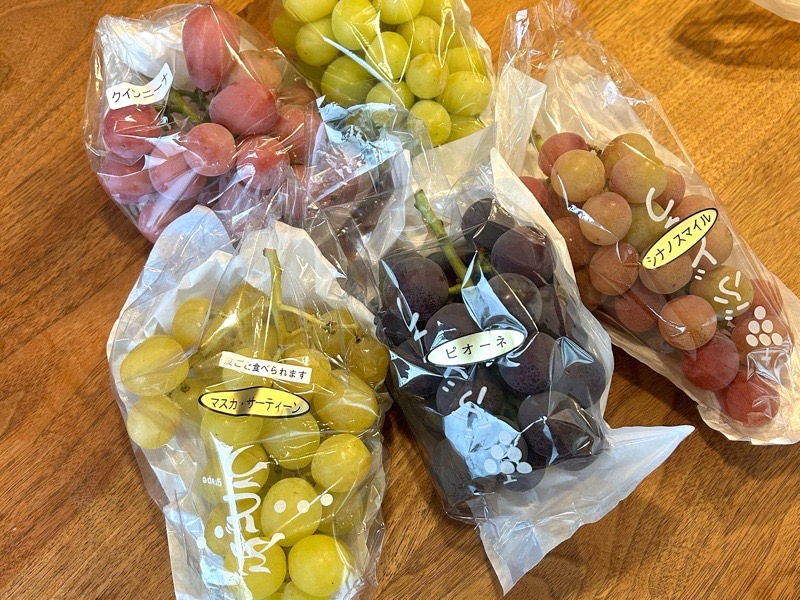 小牧ぶどう園 直売所